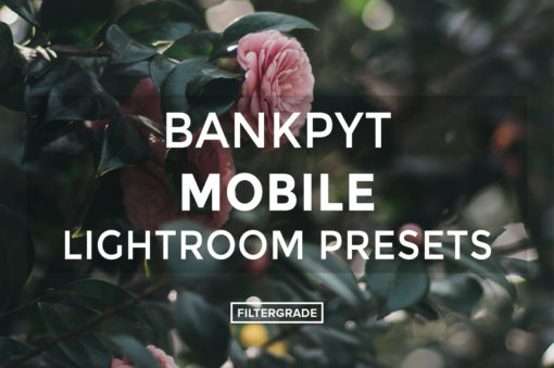 Bankpyt-Mobile-Lightroom-Presets-FilterGrade