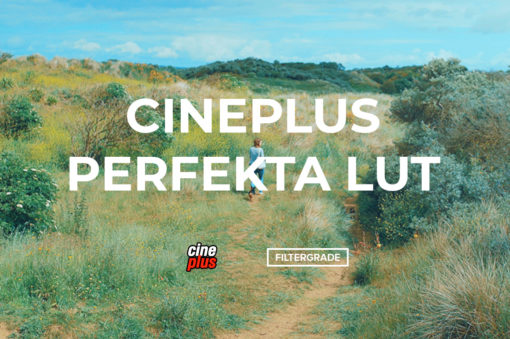 Cineplus Perfekta LUT LUTs Pack