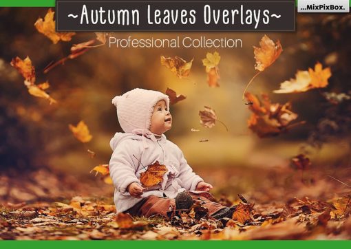 Autumn Leaves Photo Overlays