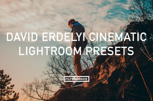 David Erdelyi Cinematic Lightroom Presets