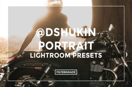 * Dmitry Shukin Portrait Lightroom Presets - FilterGrade