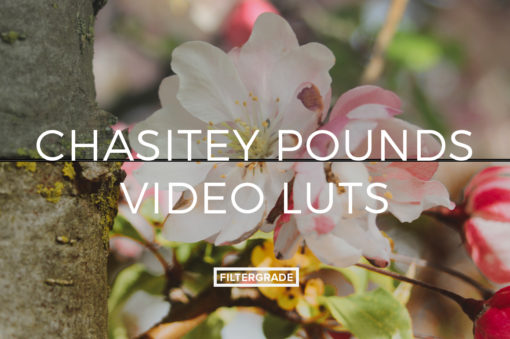 Featured Chasitey Pounds Video LUTs - FilterGrade Digital Marketplace