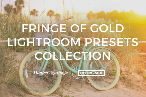 Fringe of Gold Lightroom Presets Collection by Monica Aguinaga