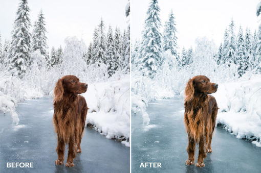 cold winter effects for lightroom