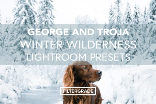 George and Troja Winter Wilderness Lightroom Presets