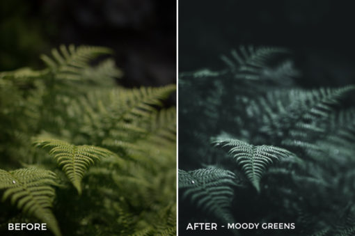 Moody Greens - Dmitry Shukin Lightroom Presets - FilterGrade