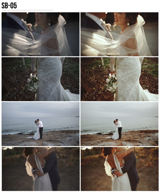 5 Vanessa & Ivo's Wedding LUTs - SB Pack - FilterGrade