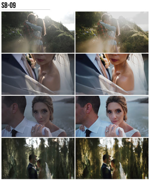 9 Vanessa & Ivo's Wedding LUTs - SB Pack - FilterGrade