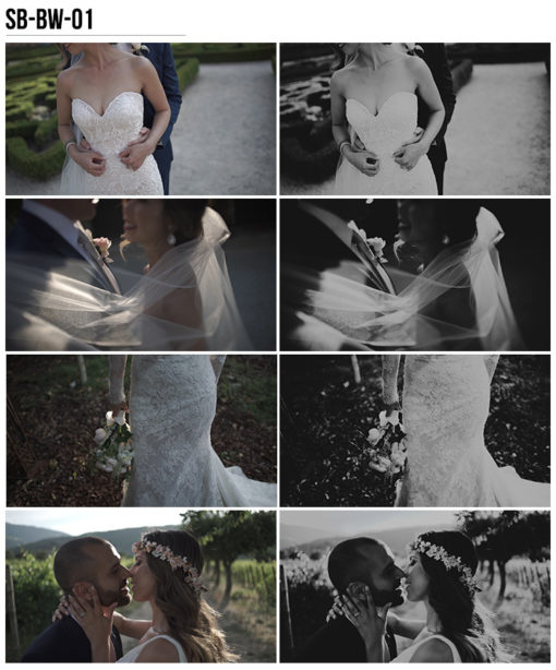 10 Vanessa & Ivo's Wedding LUTs - SB Pack - FilterGrade