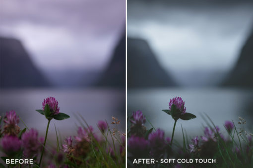 Soft Cold Touch - Dmitry Shukin Lightroom Presets - FilterGrade